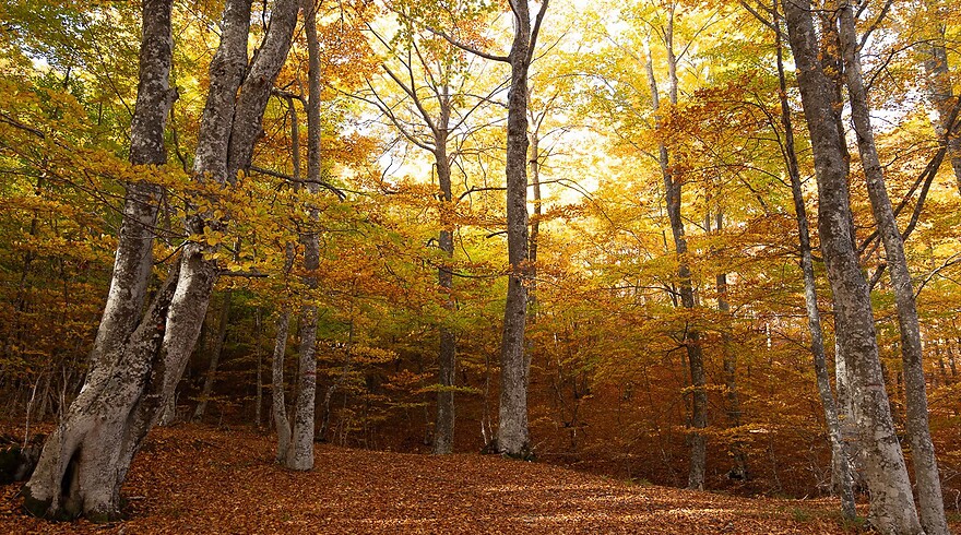 Vacanza d’Autunno a Montacuto 